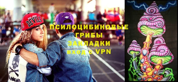скорость Пересвет