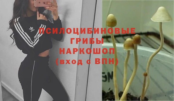 скорость Пересвет