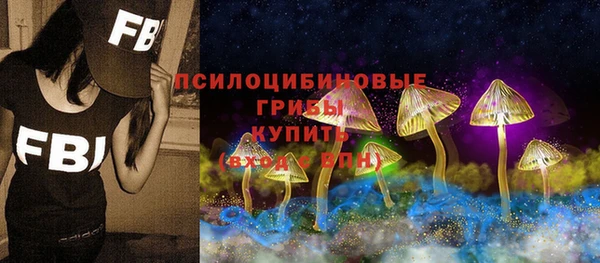скорость Пересвет